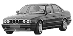 BMW E34 P008A Fault Code